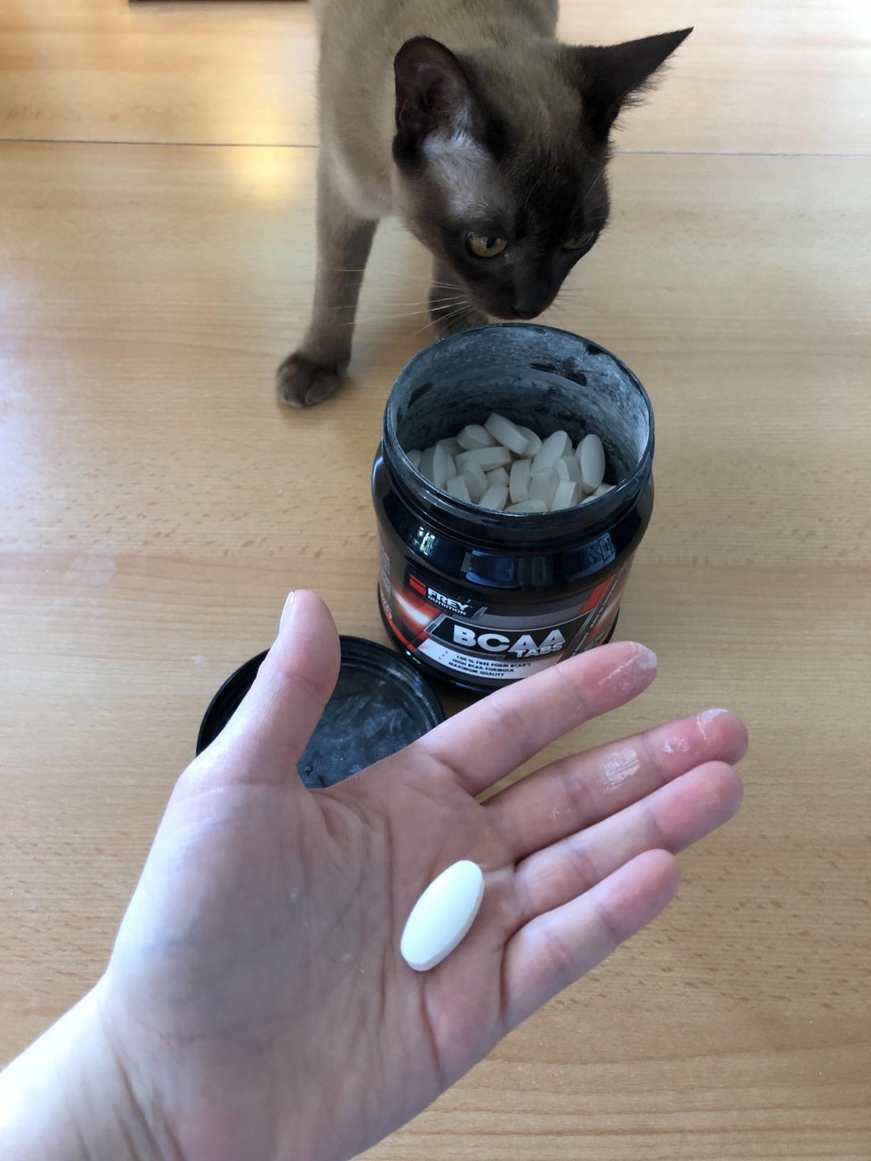 Perfekt für die Diät